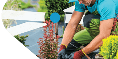 Landscaping leads
